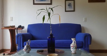 Aparta Suitte La Provincia