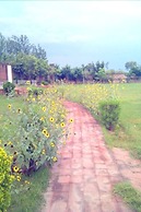 The New Swaraj Resort