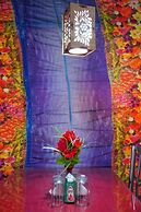 Swan Group Of Houseboats