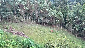 POUSADA DE CHARME VILA NATAL