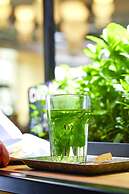 Stayokay Amsterdam Vondelpark - Hostel