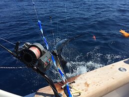 Captain Pips Marina & Hideaway