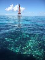 Captain Pips Marina & Hideaway