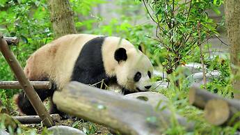 Holiday Inn Chengdu Oriental Plaza by IHG