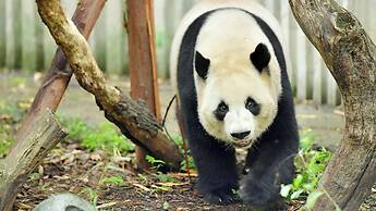 Holiday Inn Chengdu Oriental Plaza by IHG