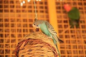 Crowne Plaza Shanghai Xiayang Lake by IHG