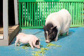 Crowne Plaza Shanghai Xiayang Lake by IHG