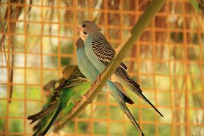 Crowne Plaza Shanghai Xiayang Lake by IHG