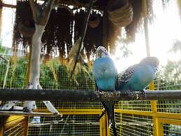 Crowne Plaza Shanghai Xiayang Lake by IHG