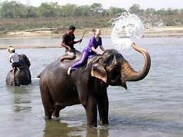 Chitwan Forest Resort