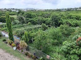 LambLion Holiday Apartments