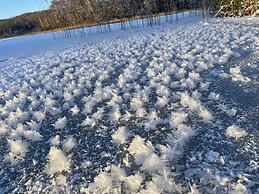 Palac Mysliwski - Orle