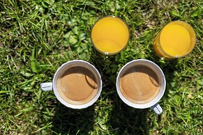 Palac Mysliwski - Orle