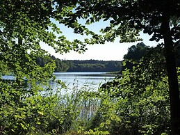 Palac Mysliwski - Orle