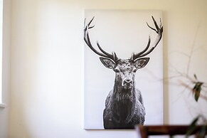 Palac Mysliwski - Orle