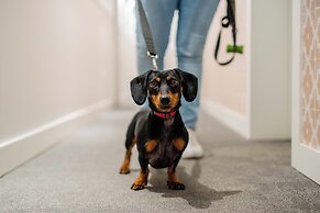 Apartamentos Neptuno