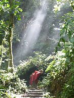 Celeste Mountain Lodge
