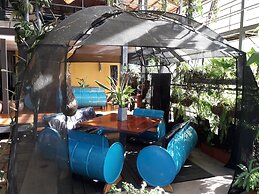 Celeste Mountain Lodge