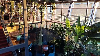 Celeste Mountain Lodge