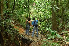 Celeste Mountain Lodge