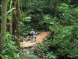 Celeste Mountain Lodge