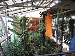 Celeste Mountain Lodge