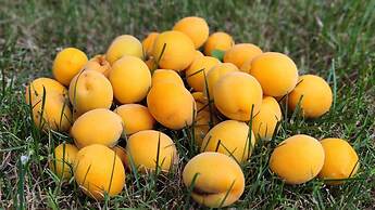 Crowne Plaza Shanghai Anting by IHG