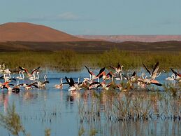 Haven La Chance Desert Hotel