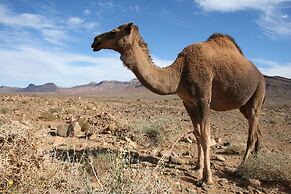 Haven La Chance Desert Hotel