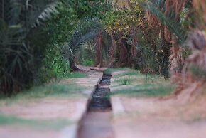 Haven La Chance Desert Hotel