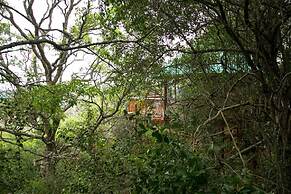 Teniqua Treetops