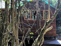 Teniqua Treetops