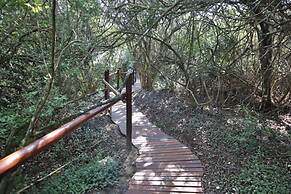 Teniqua Treetops