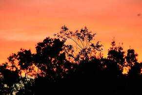 Teniqua Treetops