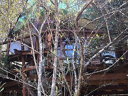 Teniqua Treetops