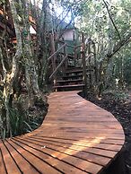 Teniqua Treetops