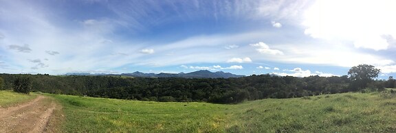 Teniqua Treetops