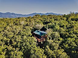 Teniqua Treetops