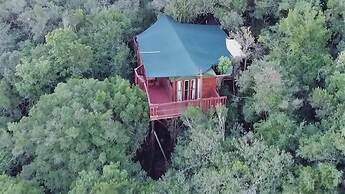 Teniqua Treetops