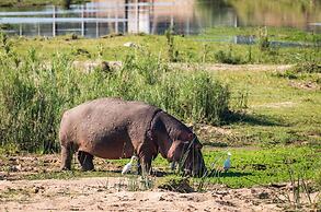 Buckler’s Africa Lodge Kruger Park