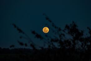 Buckler’s Africa Lodge Kruger Park