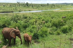 Buckler’s Africa Lodge Kruger Park