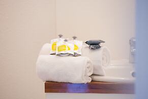All Suites Appart Hotel Merignac