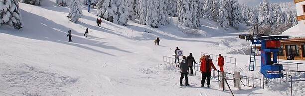 Alkoclar Exclusive Uludag