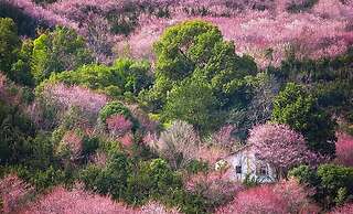 Crowne Plaza Huangshan Yucheng by IHG