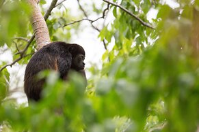 Aqua Oceanfront Hotel Resort