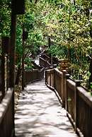 Aqua Oceanfront Hotel Resort