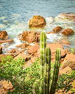 Aqua Oceanfront Hotel Resort