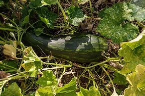 Herdade Da Cortesia Hotel