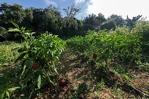 Herdade Da Cortesia Hotel